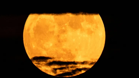 حجم القمر يتقلص .. كيف يفسر العلماء هذه الظاهرة؟ | منوعات “صدى الخبر”