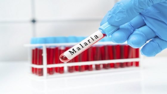 اكتشاف قدرة فريدة في جهاز المناعة على مكافحة الملاريا | صحة وبيئة “صدى الخبر”