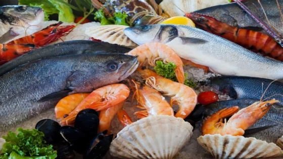 ارتفاع أسعار السمك البلطي اليوم الخميس 4 أبريل 2024 صدى الخبر