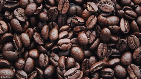 حفاظا على البيئة .. قهوة من بذور التمر والجوافة | صحة وبيئة “صدى الخبر”