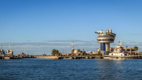 ميناء دمياط يستقبل 66 ألف طن قمح روسي لصالح القطاع الخاص صدى الخبر