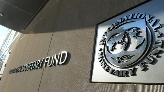 صندوق النقد: مصر نفذت إصلاحات جادة لتعزيز الاستقرار المالى صدى الخبر