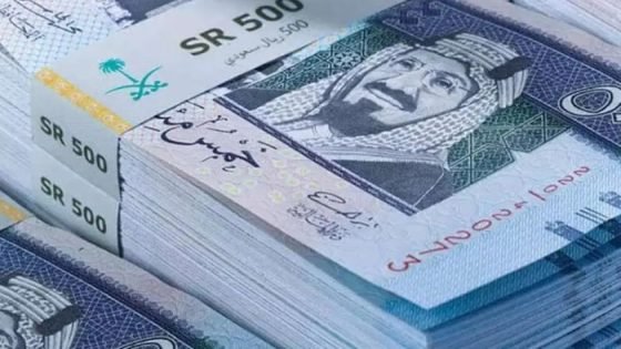 سعر الريال السعودي مقابل الجنيه المصري اليوم الأحد 5-5-2024 صدى الخبر