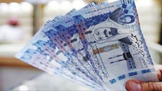 سعر الريال السعودي أمام الجنيه المصري اليوم الخميس 16-5-2024 صدى الخبر