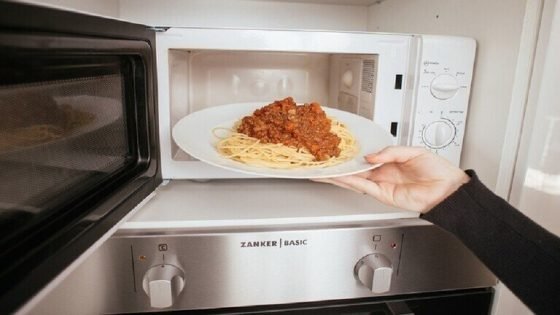 مخاطر تسخين الطعام في أطباق غير مخصصة للميكروويف | صحة وبيئة “صدى الخبر”