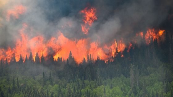 انتشار حرائق الغابات في غرب كندا يدفع الآلاف لإخلاء منازلهم “صدى الخبر”