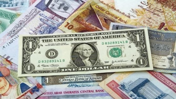 أسعار العملات العربية والأجنبية في مصر اليوم 15-5-2024 صدى الخبر