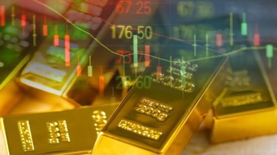 رغم الارتفاع العالمي، مليارات رأس الحكمة تؤمن أسعار الذهب في مصر صدى الخبر