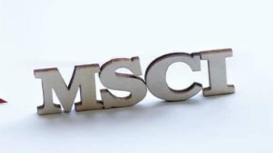 مؤشرات MSCI تعلن عن تحديثات هامة للسوق المصرية في المراجعة النصف سنوية صدى الخبر