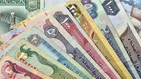 تعرف علي أسعار العملات العربية اليوم 17 يونيو 2024 صدى الخبر