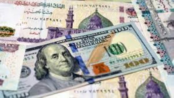 سعر الدولار اليوم مقابل الجنيه المصري.. استقرار في البنوك “صدى الخبر”