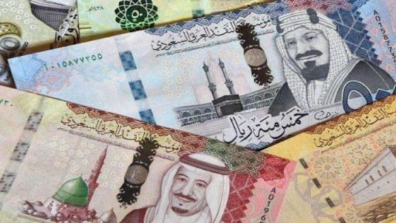 سعر الريال السعودي مقابل الجنيه المصري اليوم الجمعة 30 أغسطس 2024 صدى الخبر