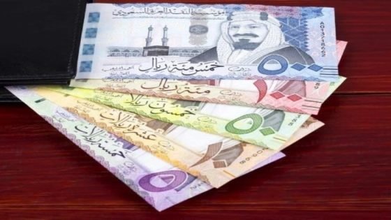 مع اقتراب موعد العمرة، ارتفاع سعر الريال السعودي اليوم الخميس 10 أكتوبر 2024 صدى الخبر