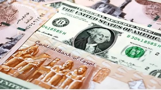 ارتفاع سعر الدولار مقابل الجنيه المصري في ختام تعاملات اليوم صدى الخبر