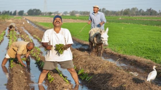 تبدأ من فائدة 5%، ما هي القروض المتاحة في البنك الزراعي المصري؟ صدى الخبر