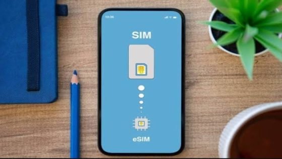 هل يدعم هاتفك شريحة eSIM الجديدة؟ «إنفوجراف» صدى الخبر