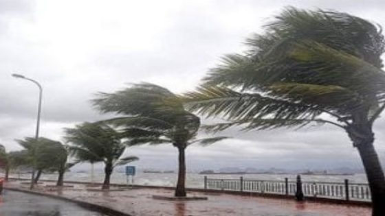 طقس وجه بحري، درجات الحرارة في الدلتا والمنصورة وطنطا والشرقية والغربية صدى الخبر