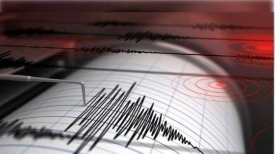 زلزال بقوة 4.8 درجات يضرب جنوب إندونيسيا “صدى الخبر”