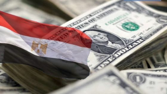 جدول سداد ديون مصر الخارجية، 14.7 مليار دولار مستحقة في الربع الأول من 2024/2025 صدى الخبر