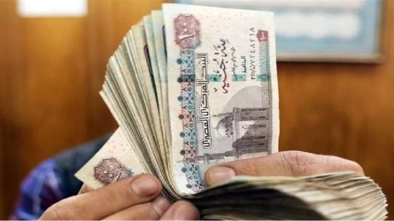 مواعيد صرف مرتبات شهر ديسمبر 2024 (تفاصيل) صدى الخبر