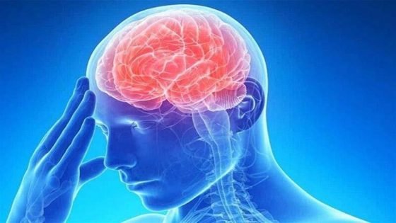 اكتشاف تأثير التأمل على مركز العواطف في الدماغ | منوعات “صدى الخبر”