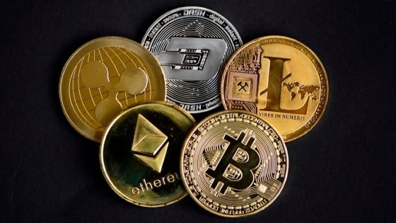 تذبذب أسعار العملات الرقمية.. وإيثريوم تتراجع بـ 4.8% “صدى الخبر”