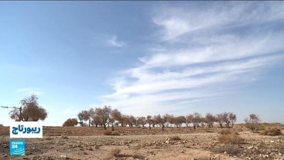 الجفاف يهدد الزراعة في الأردن: خسائر كبيرة للمزارعين ومخاوف من موسم قاس! “صدى الخبر”