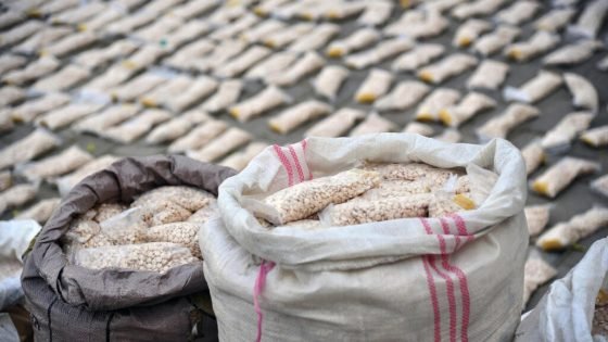 السلطات العراقية تعلن ضبط سبعة ملايين حبة كبتاغون قادمة من سوريا عبر تركيا “صدى الخبر”