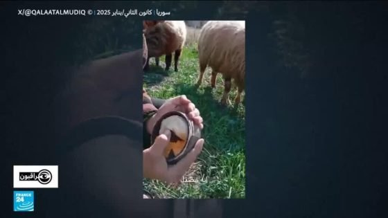 ألغام الأسد تطارد المدنيين “صدى الخبر”