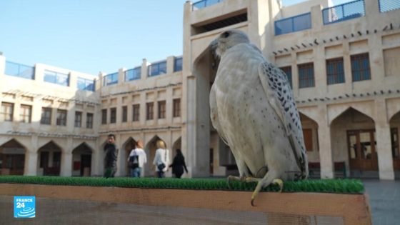 قطر.. الصقور "رمز للنبلاء والهيبة" وكنوز لا تقدر بثمن “صدى الخبر”