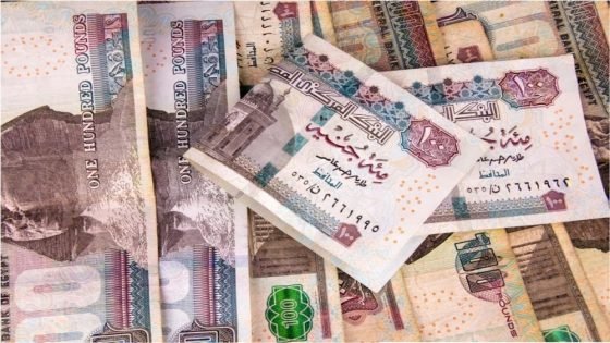 ارتفاع سعر الدولار اليوم مقابل الجنيه في البنوك المصرية “صدى الخبر”
