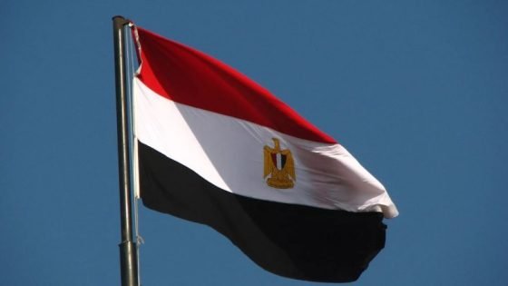 مصر: الاعتداءات الصهيونية تهديد مباشر للامن الدولي “صدى الخبر”