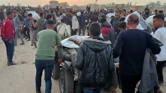 أطباء بلا حدود تحمل مؤسسة أمريكية مسؤولية الفوضى وسقوط قتلى أثناء توزيع المساعدات في رفح “صدى الخبر”