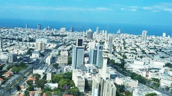 لأول مرة.. الذباب المصري يغزو ‘اسرائيل’ ويثير حالة من الرعب +صور “صدى الخبر”