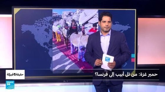 حمير غزة.. من تل أبيب إلى أوروبا؟ “صدى الخبر”