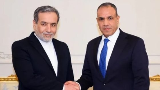 اتصال مصري إيراني جديد..ورسالة إلى غروسي “صدى الخبر”