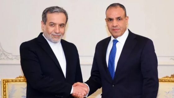وزير الخارجية المصري يجري اتصالات مكثفة بشأن الملف النووي الإيراني “صدى الخبر”